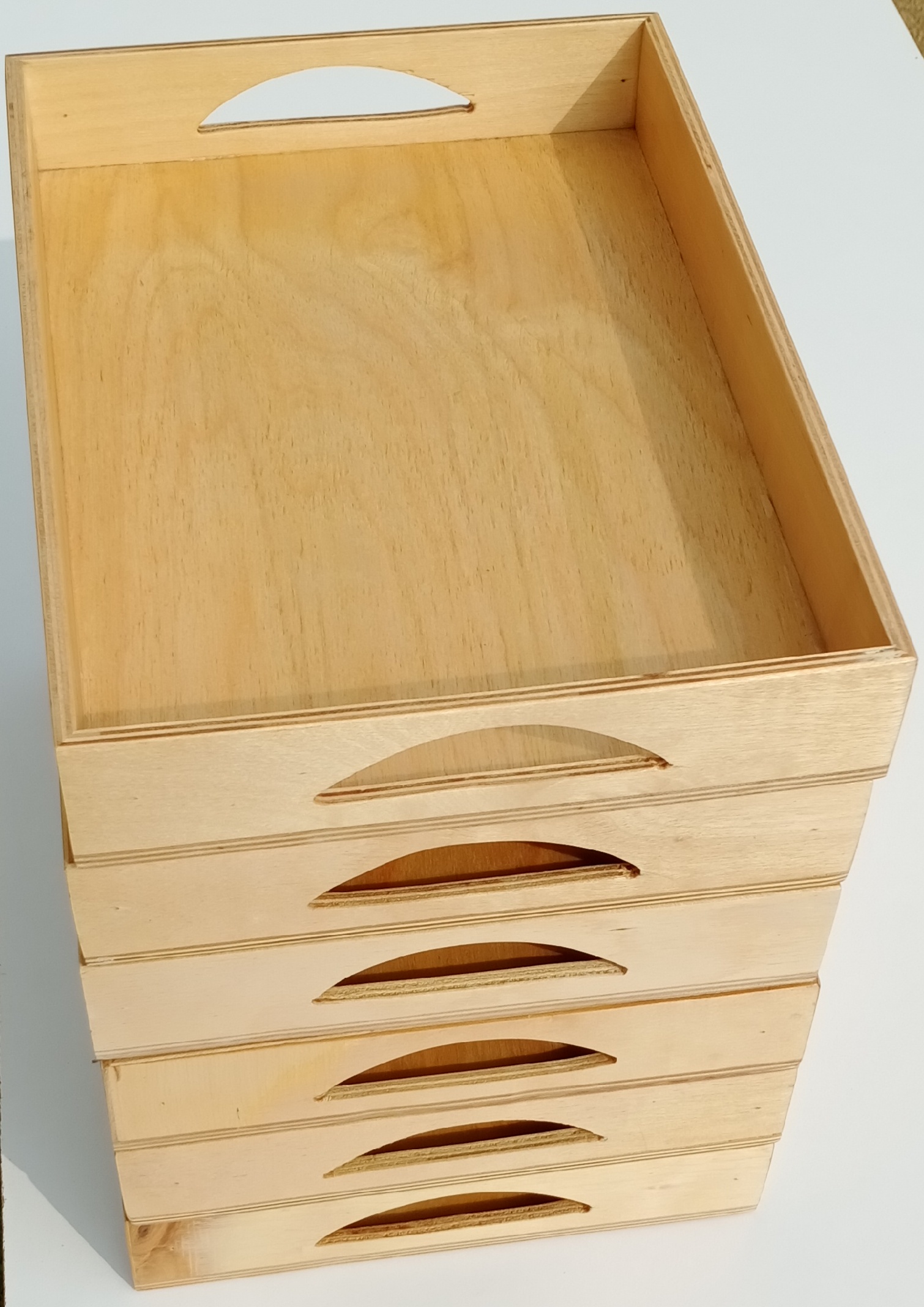 WOODEN POLISHED TRAY SET OF 6